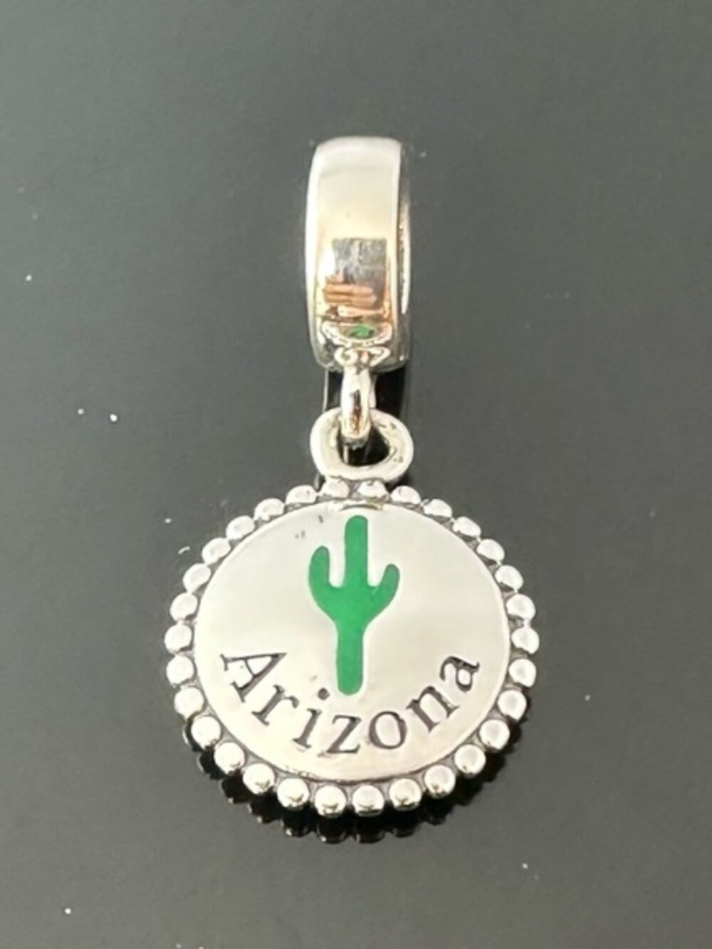 Pandora Arizona Cactus Dangle Charm 925 Ale Silver